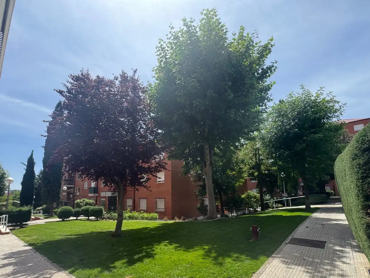 Wohnung mit Pool zum Verkauf in PASEO DE CHOPERA 294, imagen 4