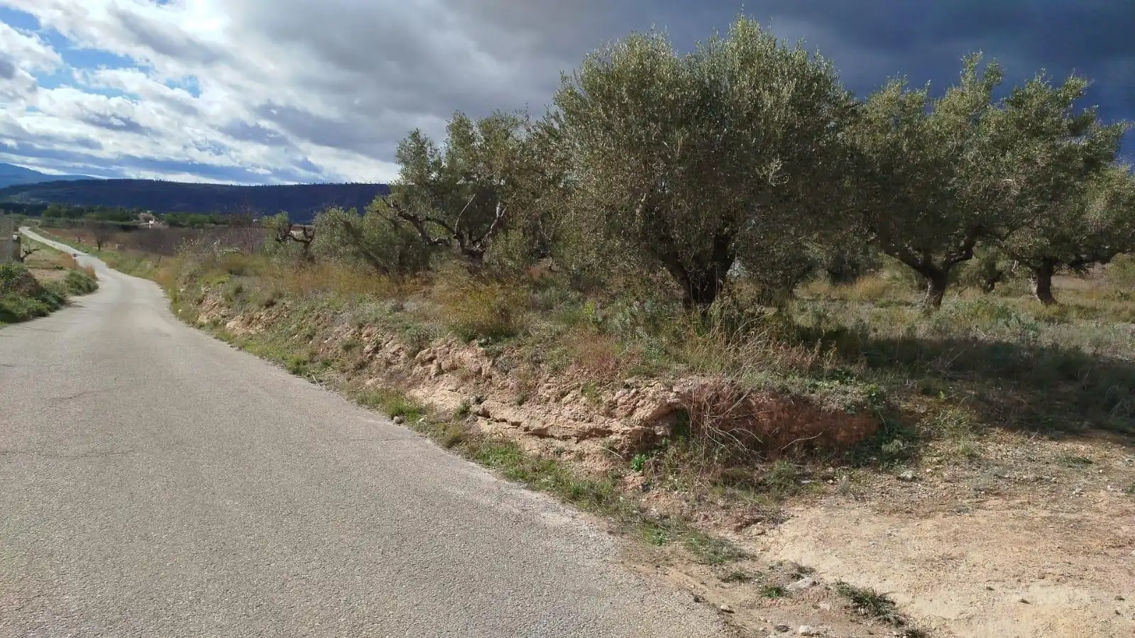 Terreny residencial en venda a Aielo de Malferit