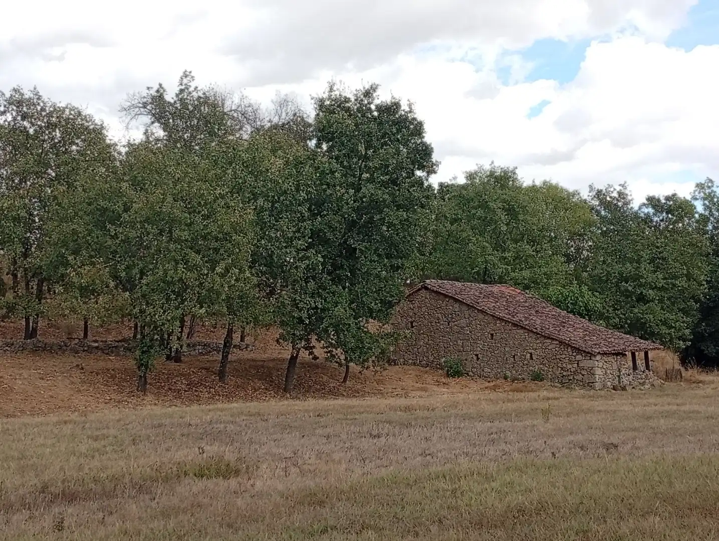 Terreni e lotti in vendita a Villanueva de la Vera, imagen 90