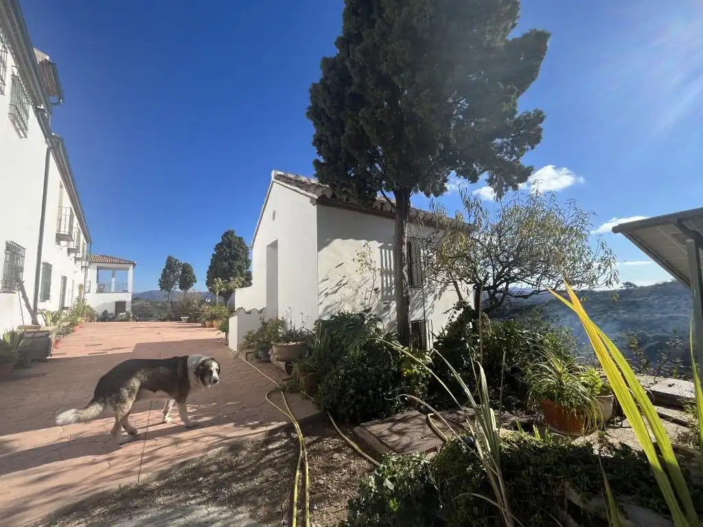 Terreni e lotti in vendita a Almogía, imagen 4