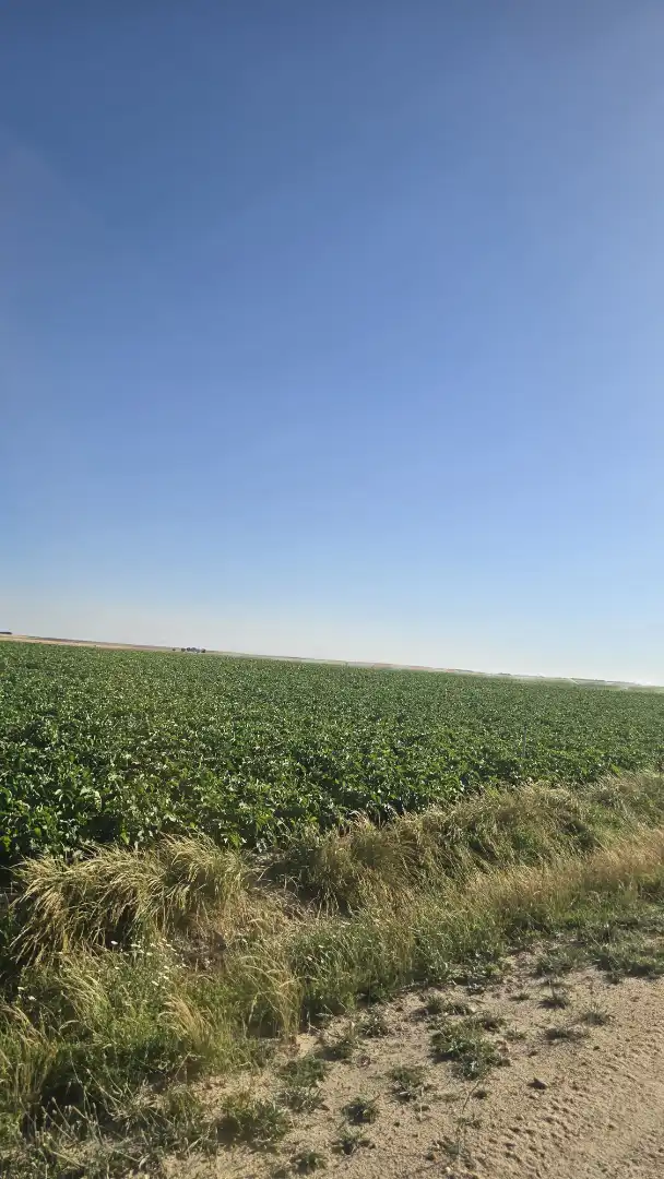 Terreno rustico in vendita a Ontígola, imagen 6