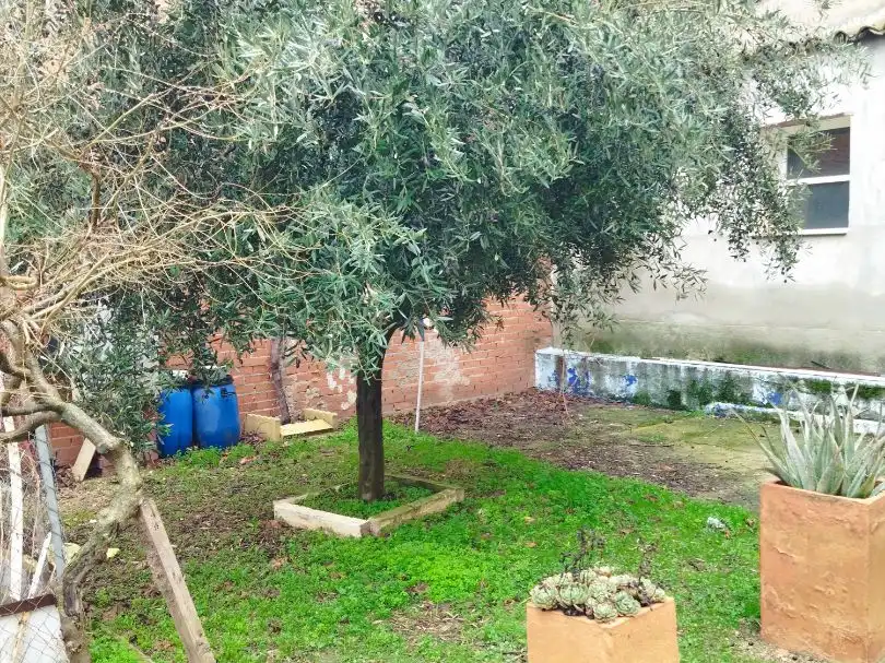 Terreno residenziale in vendita a Calle Libertad 38, imagen 27