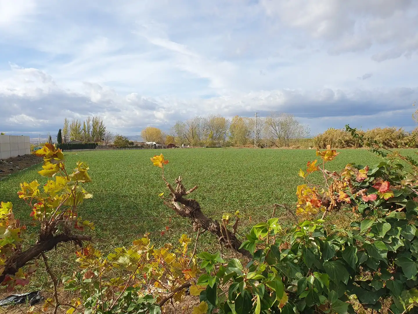 Rural land for sale in Maracena, imagen 13