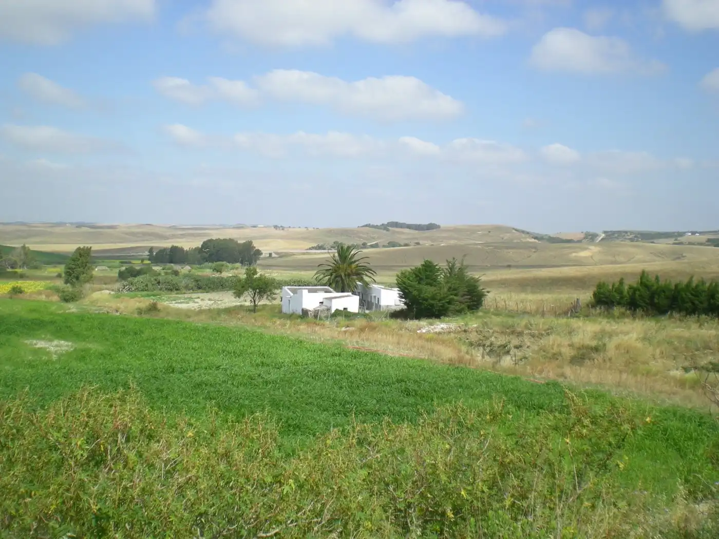 Finca rústica en venda en Medina Sidonia