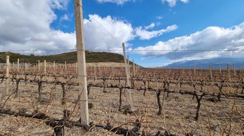 FINCAS EN VENTA (LAROLES – GRANADA)