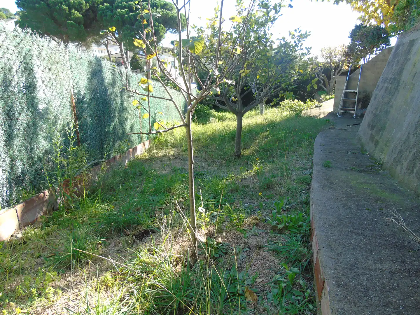 Casa in vendita a Mas Mora - Sant Daniel, imagen 6