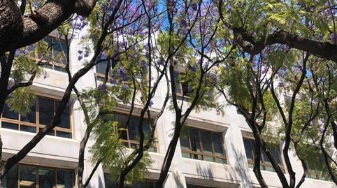 Photo 5 of Residential to rent in Calle Porvera, 6 - 8, Centro, Cádiz