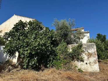Casa rústica en venta en Diseminado Vega Redonda