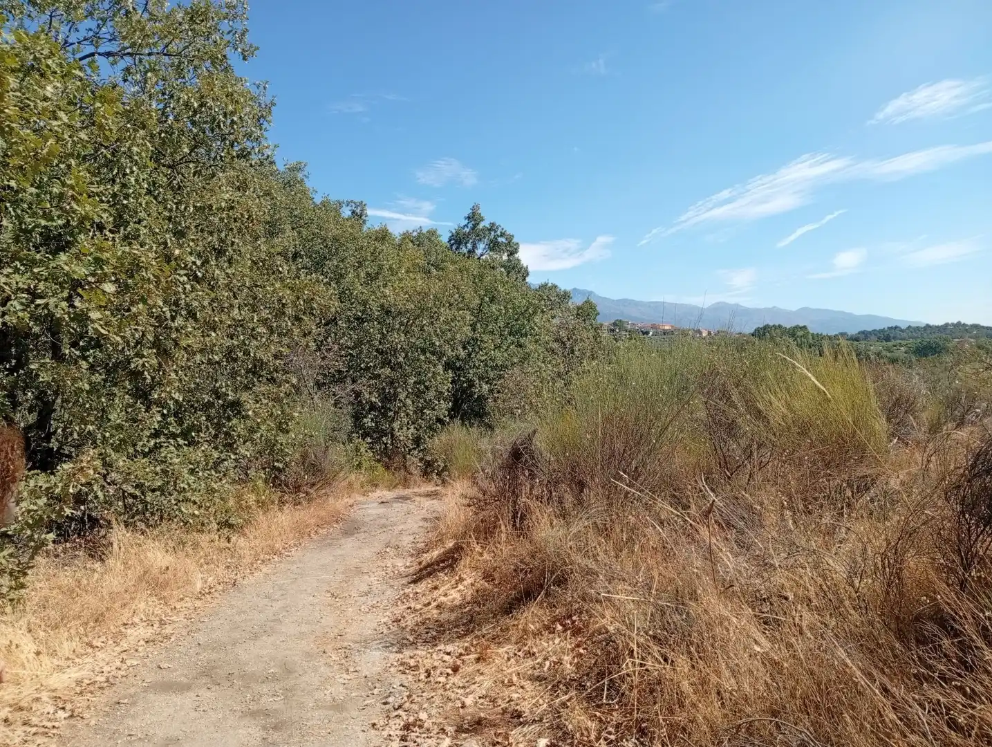 Terreni e lotti in vendita a Villanueva de la Vera, imagen 19