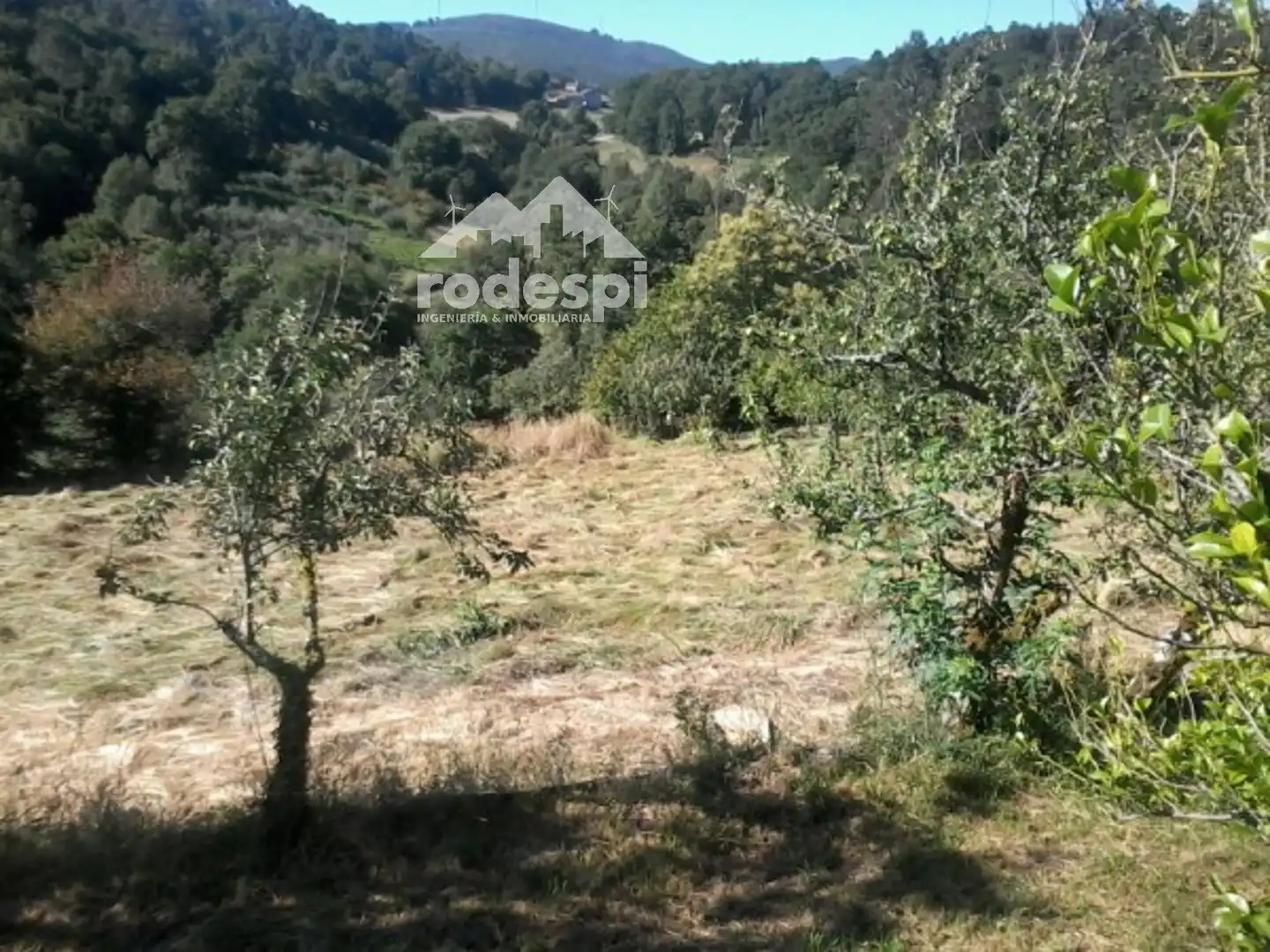 Rural land for sale in Covelo, imagen 17