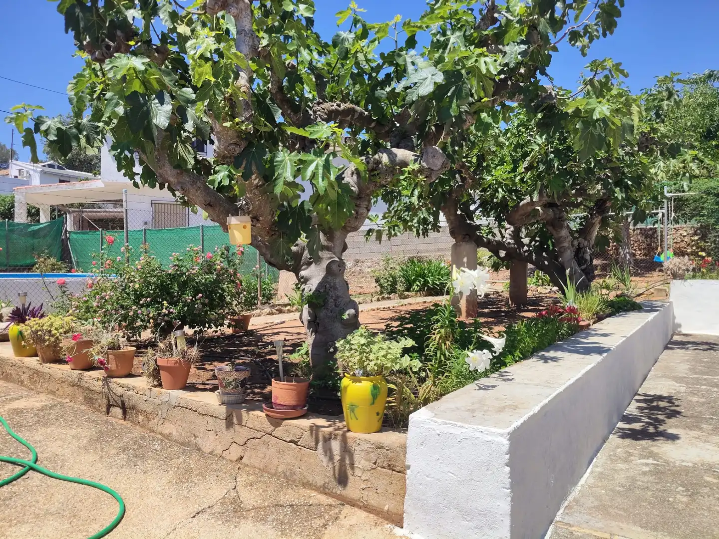 Jardí de Finca rústica en venda en Simat de la Valldigna amb Jardí privat, Traster i Piscina