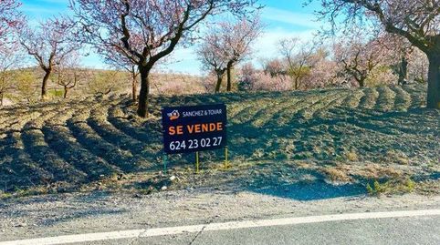 Foto 5 de Finca rústica en venta en Vélez-Rubio, Almería