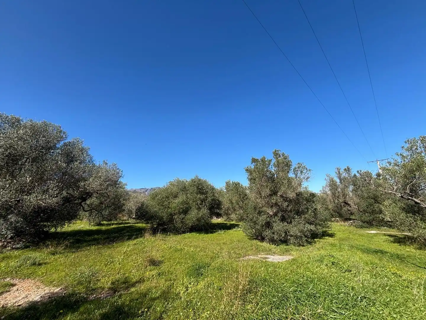 Terrain rustique à vendre à Roquetes, imagen 9