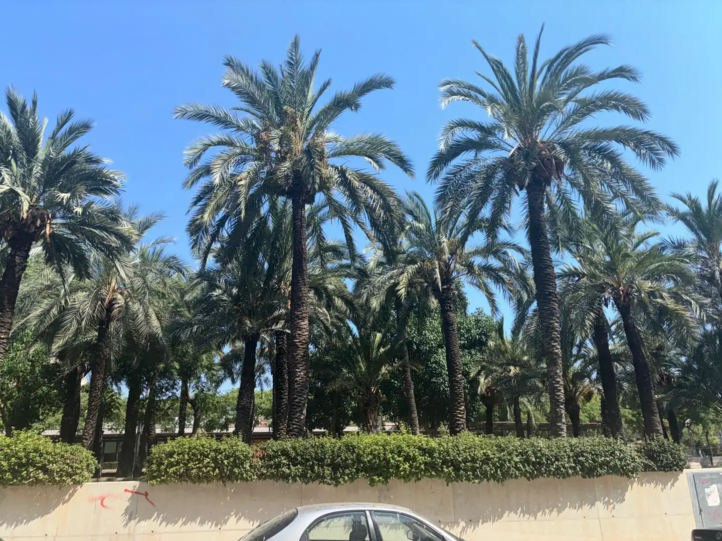Vista exterior de Pis en venda en Elche / Elx amb Alarma