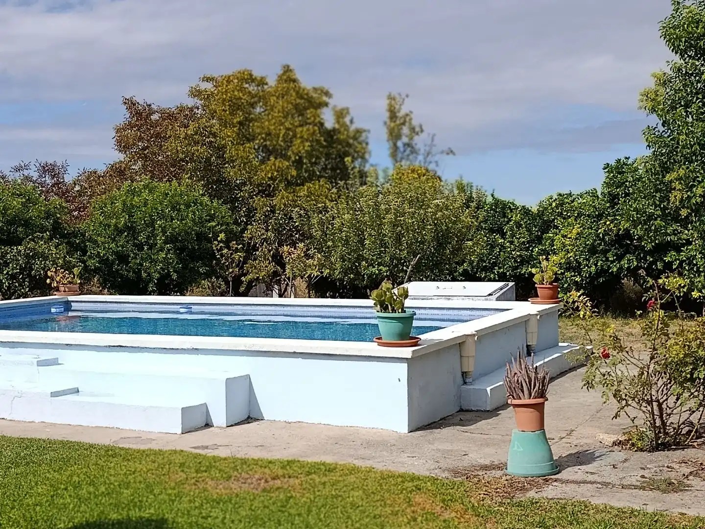 Swimming pool of Country homes for sale in Olivenza, Badajoz