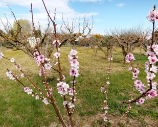 Garden of Land for sale in  Zaragoza Capital