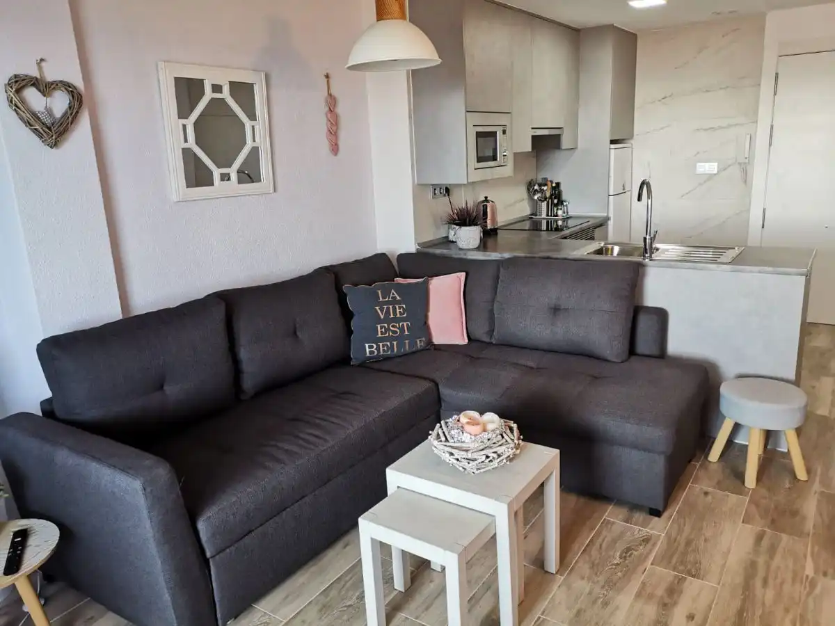 Sala de estar de Apartamento de alquiler en Alicante / Alacant con Terraza, Amueblado y Balcón
