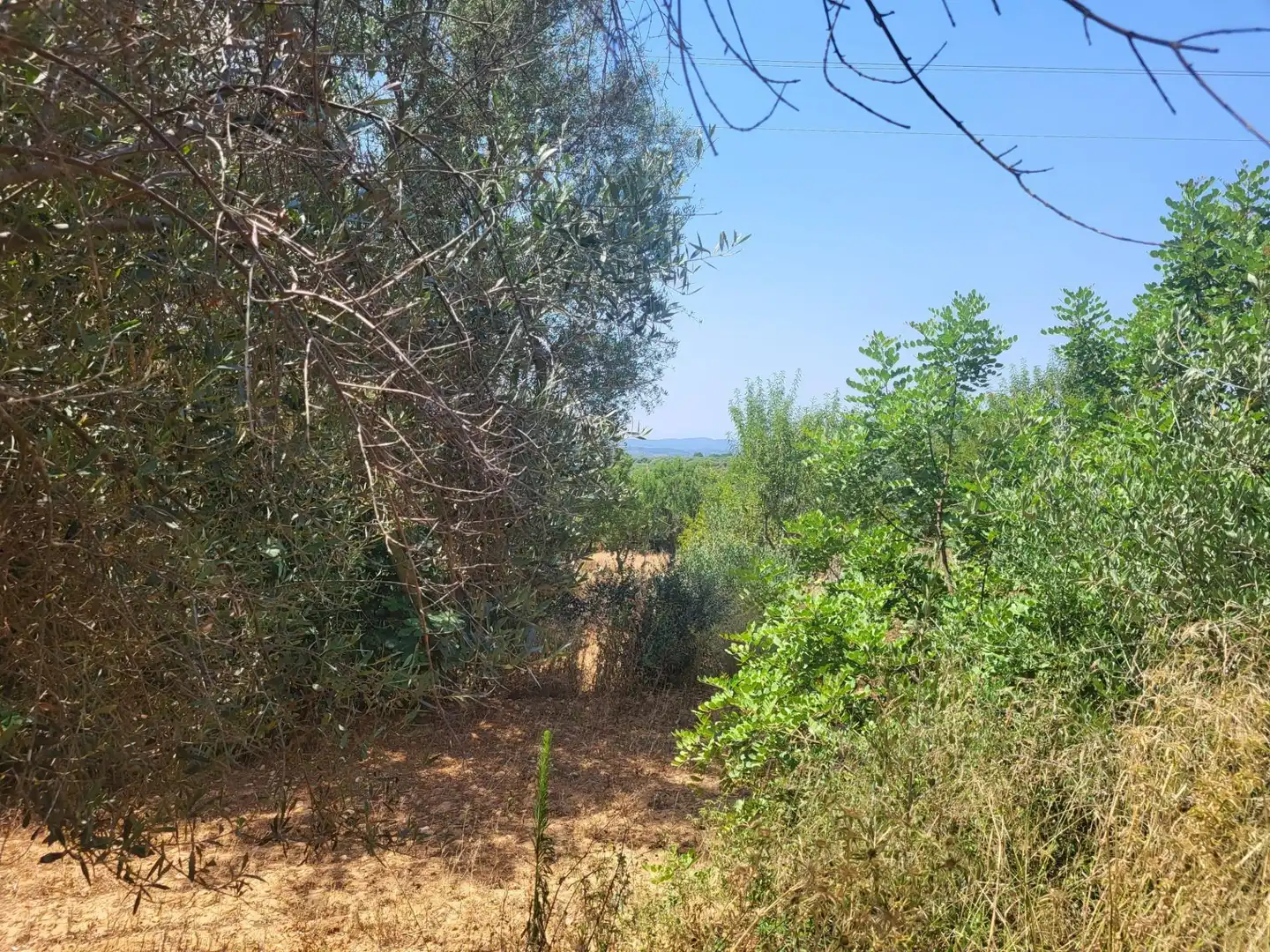 Casa rústica en venda a Vall d'Alba, imagen 13