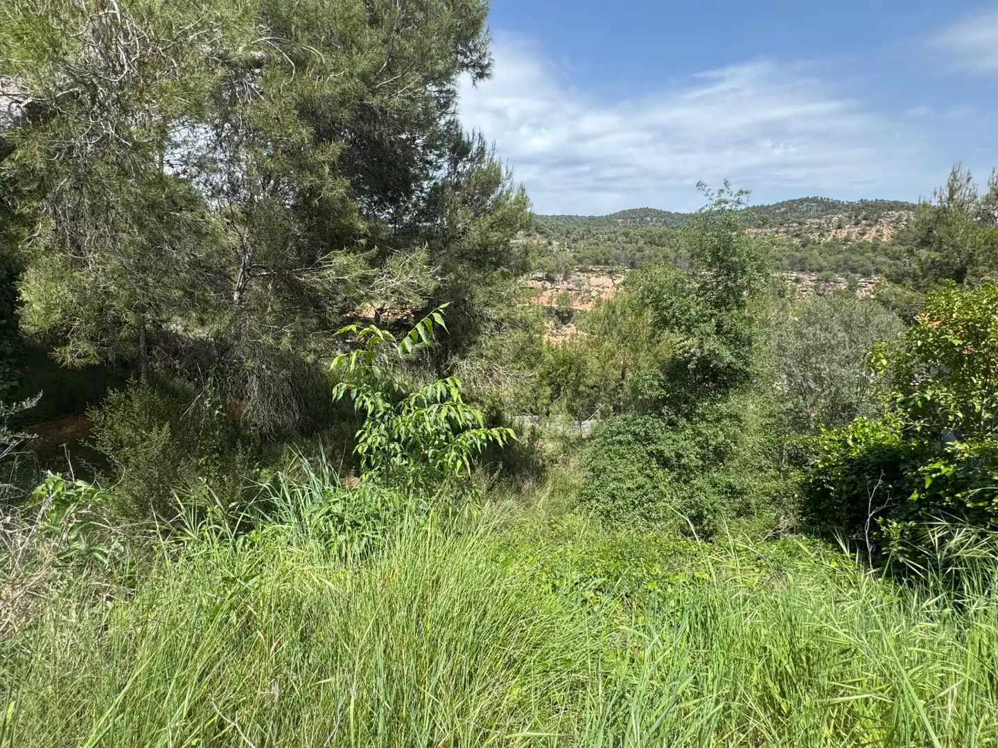 Residential land for sale in La Pobla de Claramunt, imagen 3