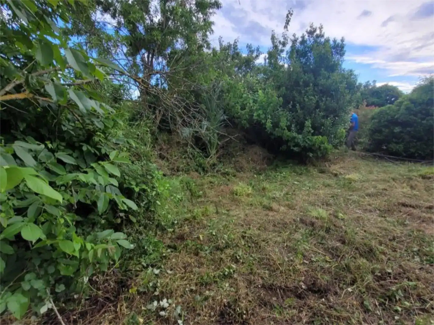Finca rústica en venda en Allín / Allin