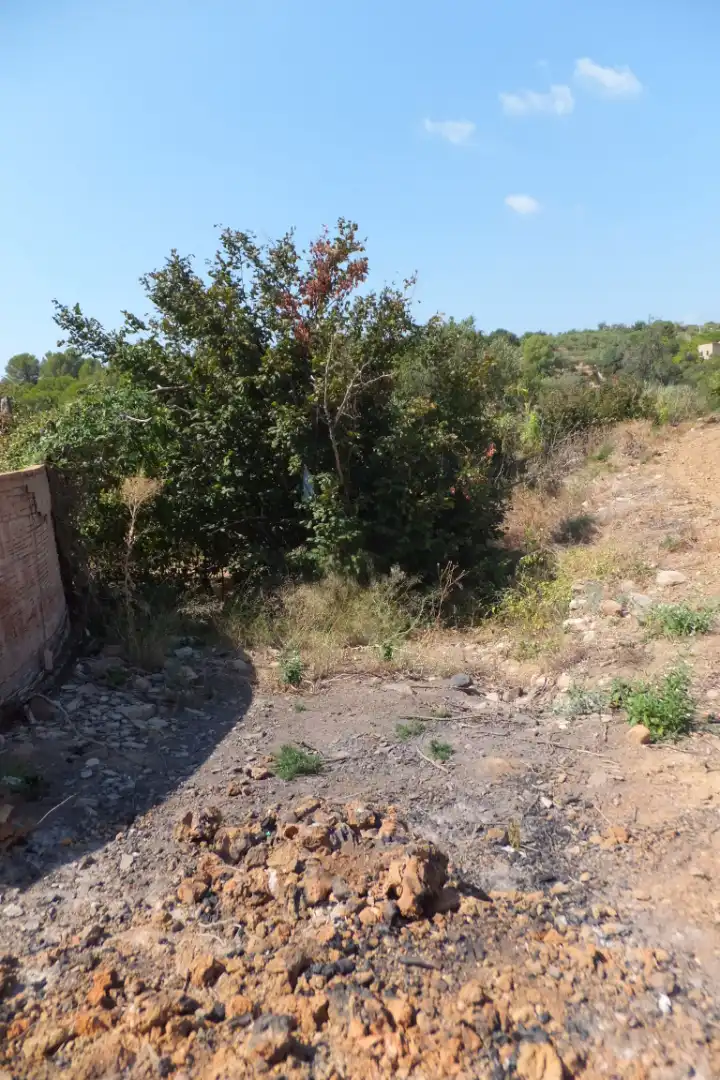 Terreno rústico en venta en Riudoms, imagen 9