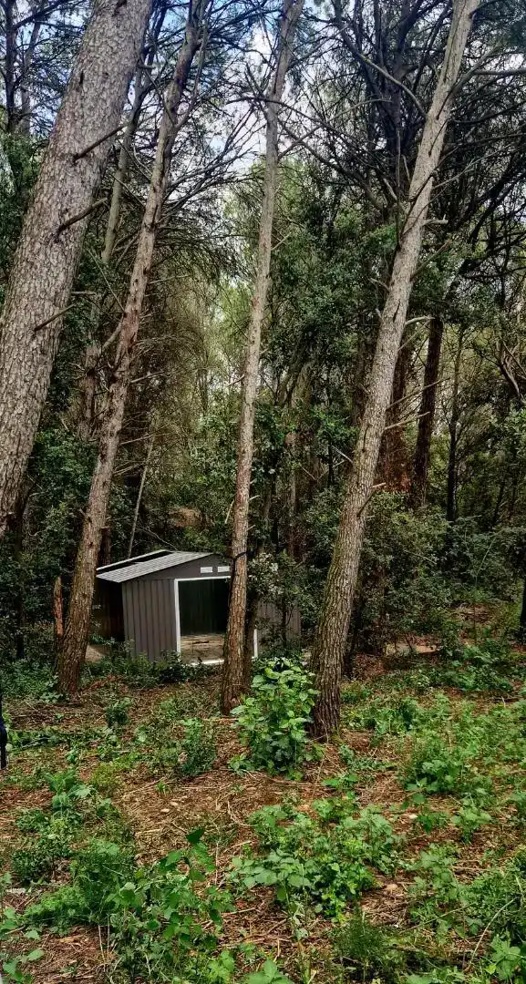 Vista exterior de Terreno en venta en Ordis, Girona