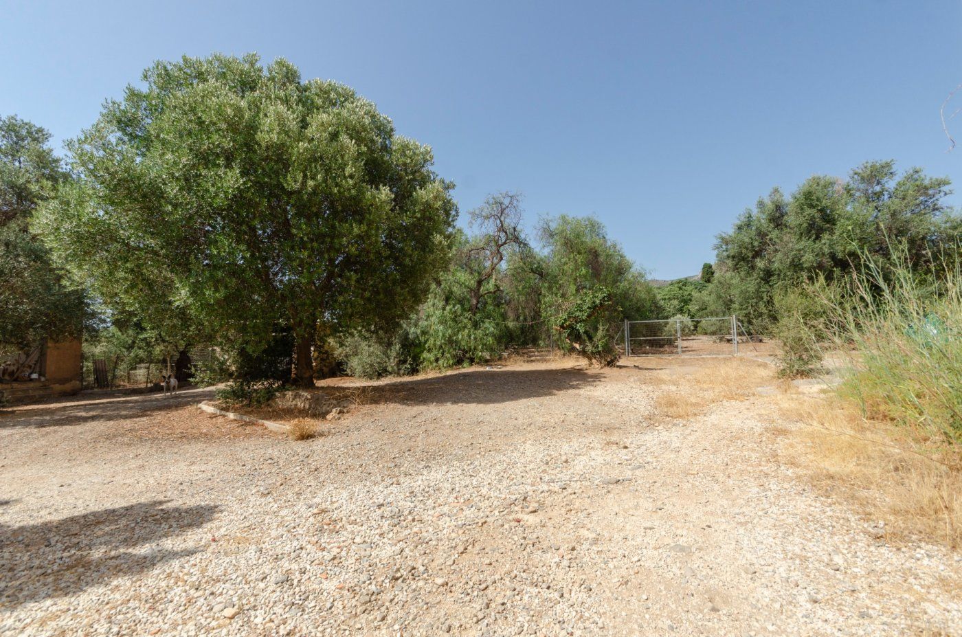 Residential for sale in Málaga Capital