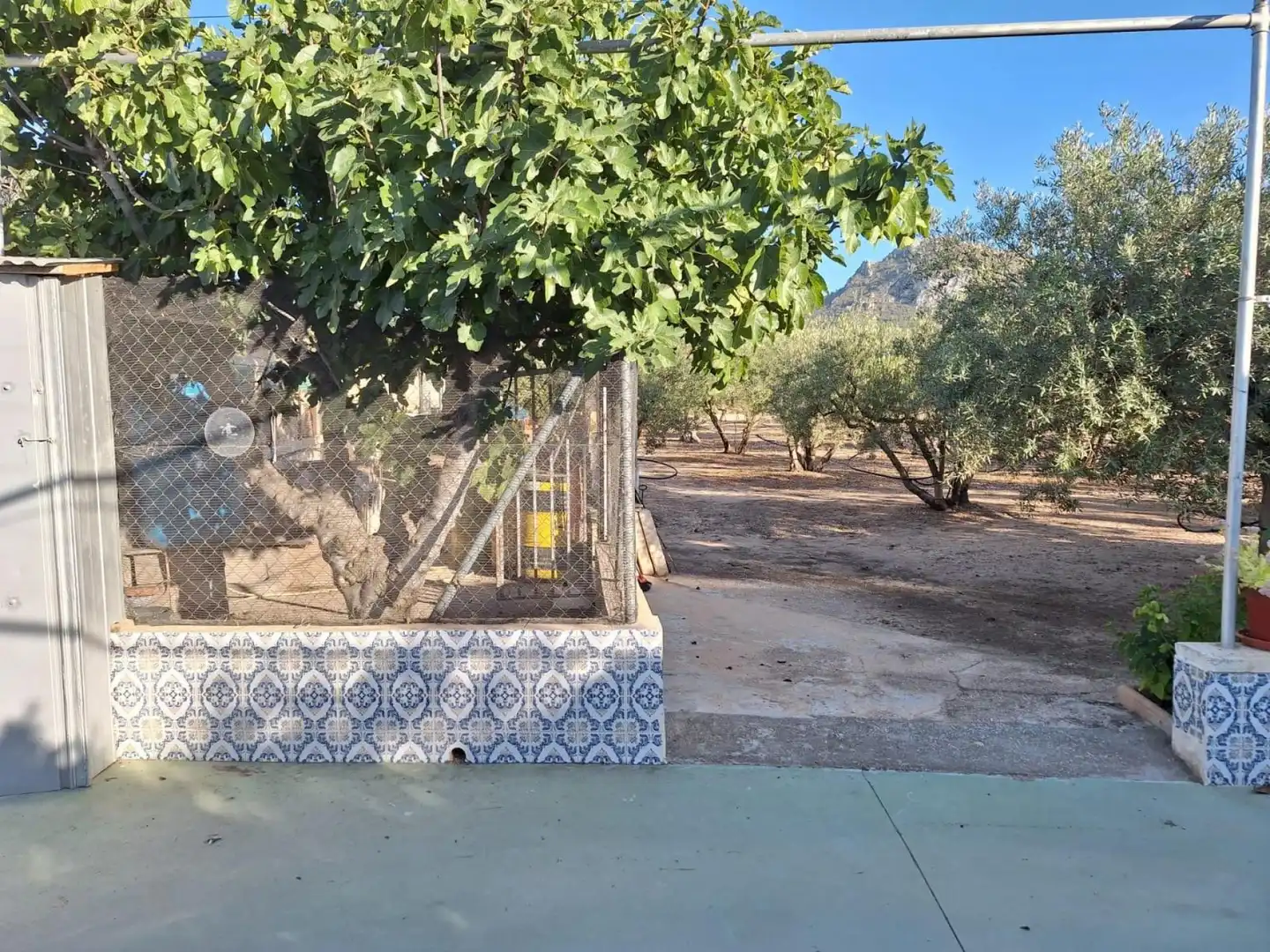 Vista exterior de Finca rústica en venta en Villena con Terraza y Piscina