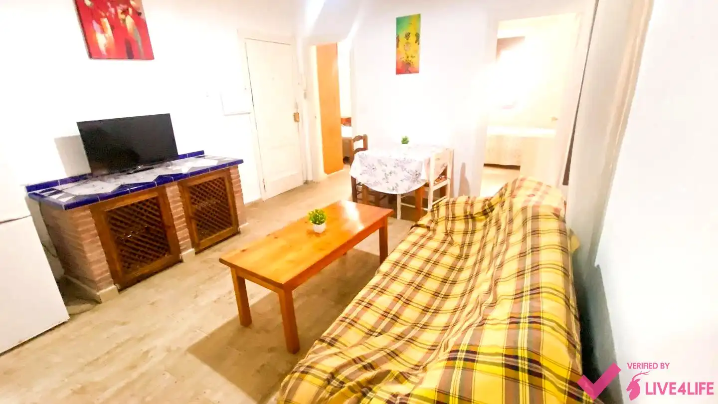Sala d'estar de Planta baixa de lloguer en Granada amb Terrassa i Moblat