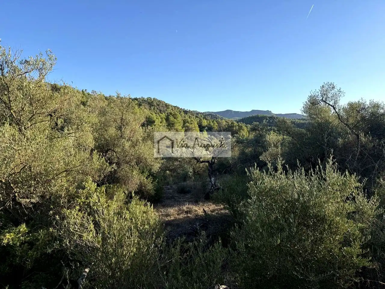 Terreno en venta en Vinebre