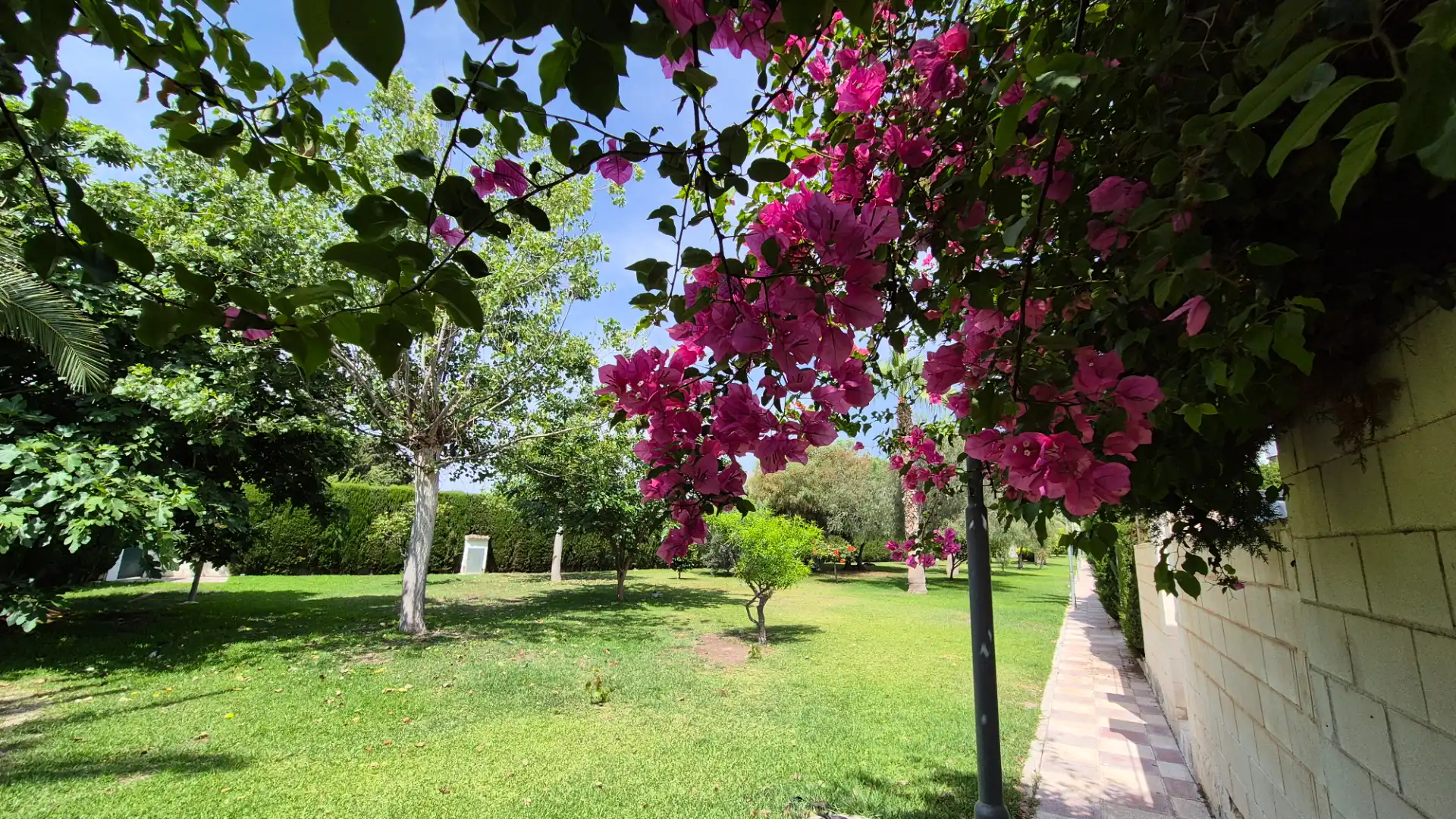 Garden of Detached homes for sale in Elche / Elx  with Air Conditioner, Heating and Terrace