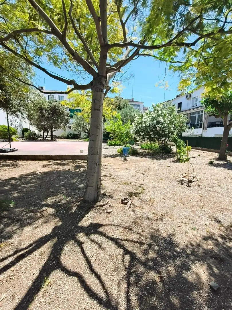 Piso en venta en Olesa de Montserrat con Terraza