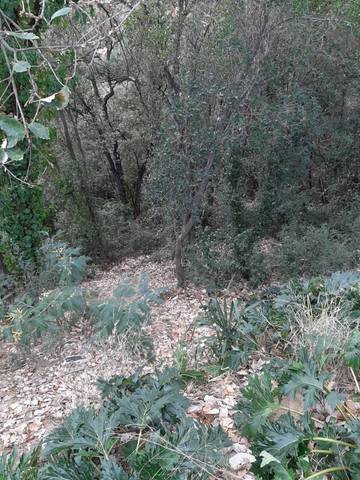 Terreno residencial en Venta en Riells i Viabrea