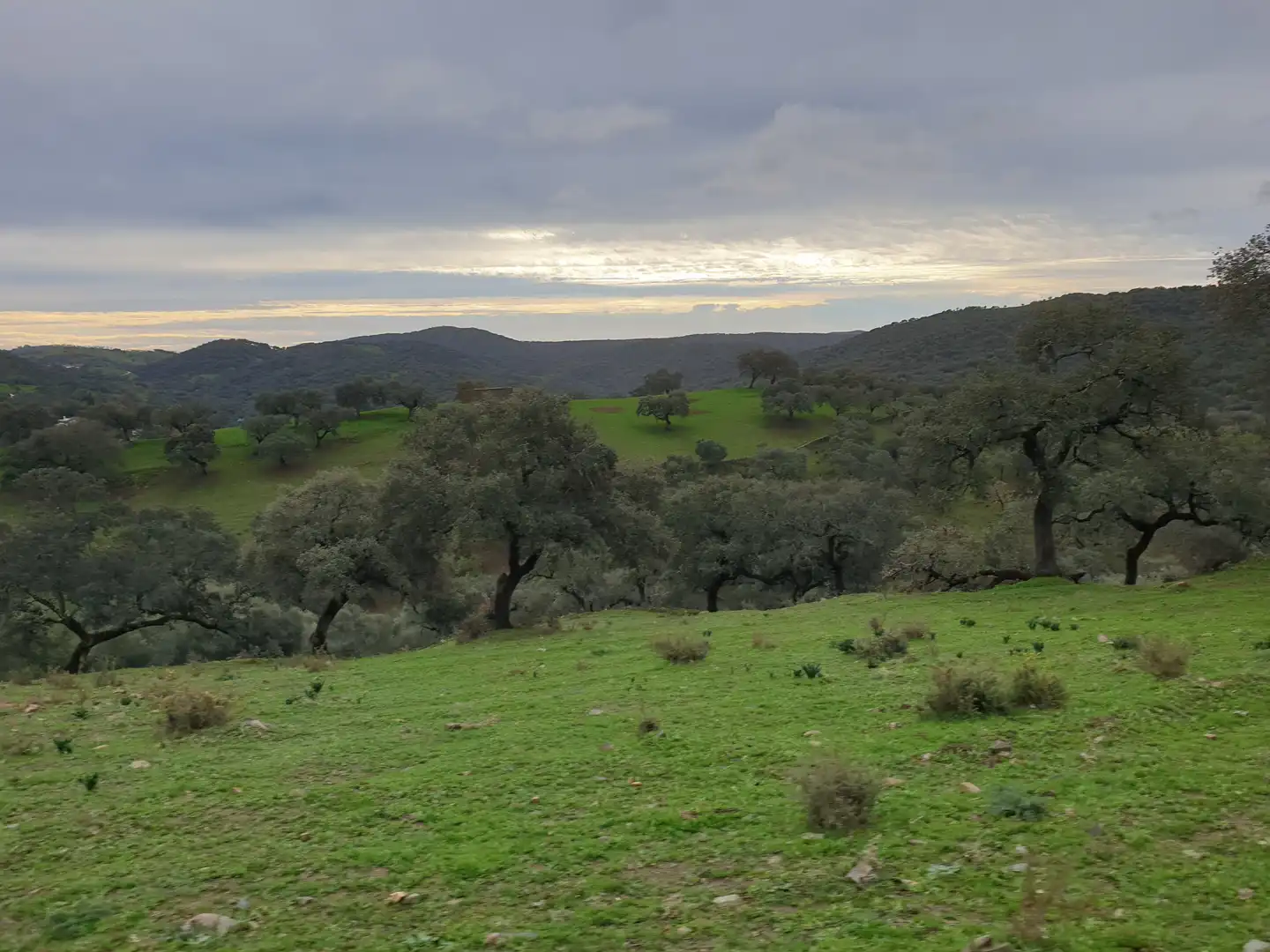 Terreno en venta en Sevilla