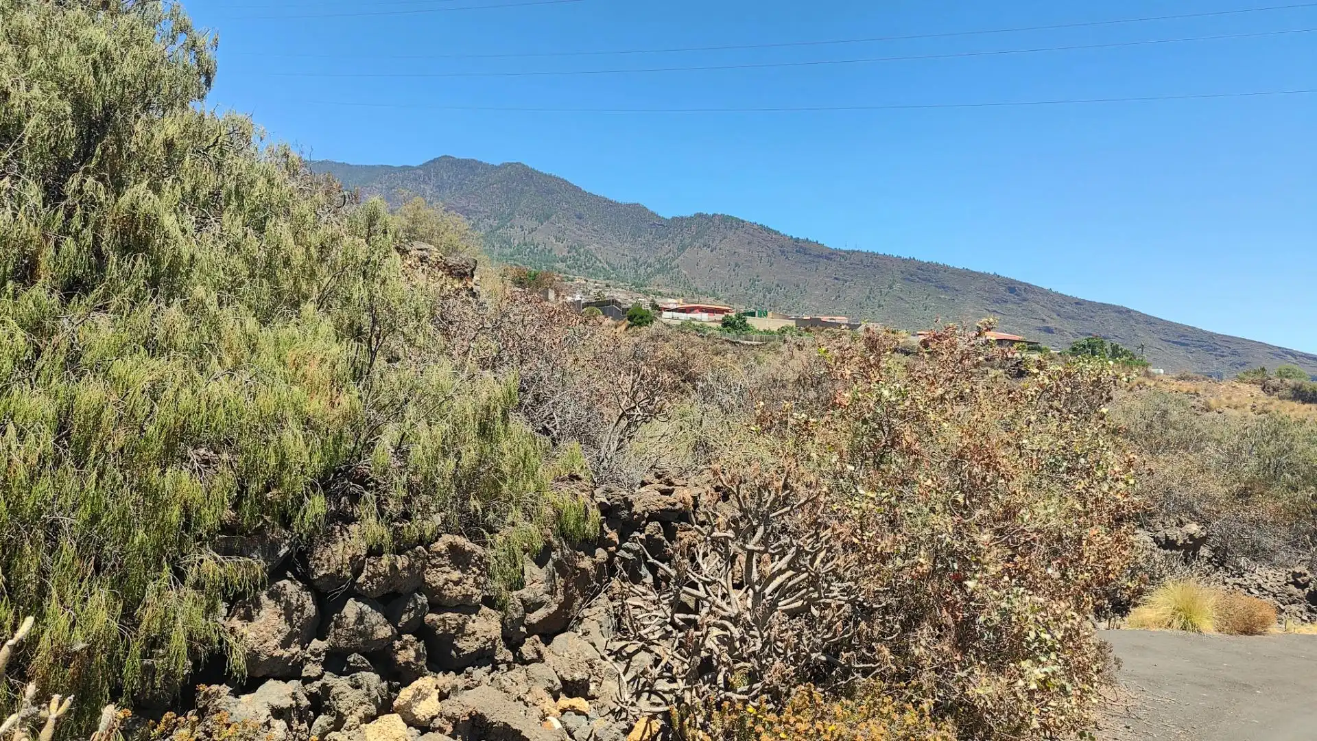 Rural land for sale in Arafo, imagen 3