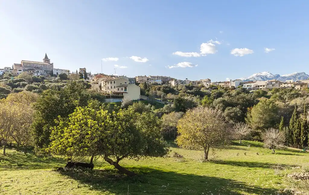 Maison rustique avec piscine à vendre à Campanet, imagen 10