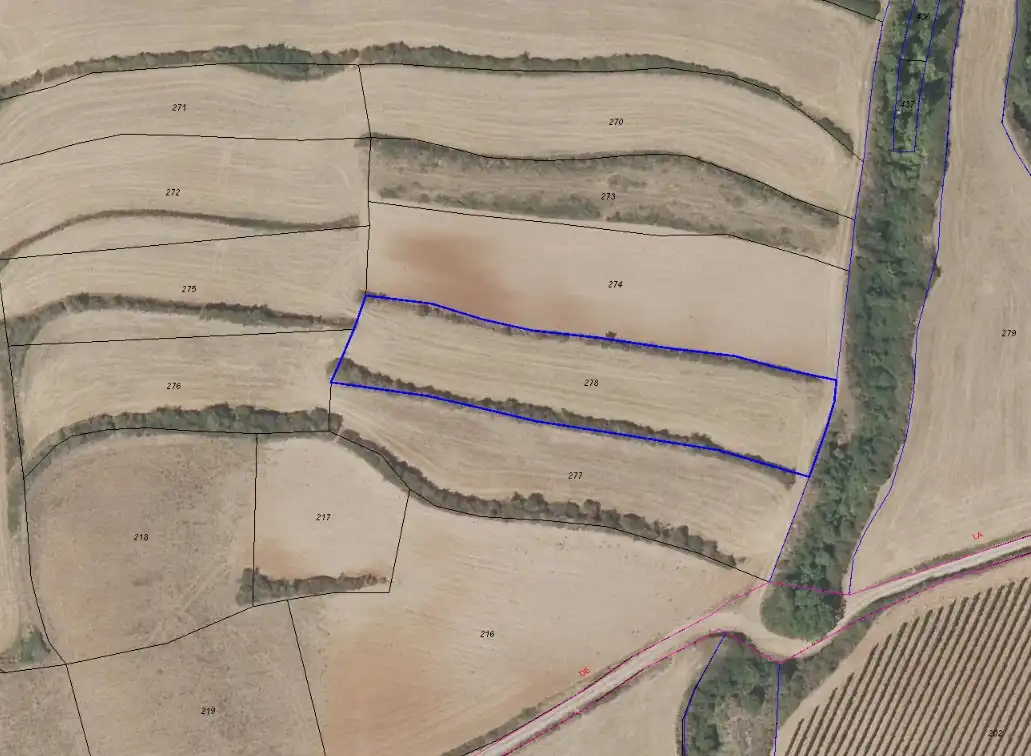 Terrain rustique à vendre à Clavijo