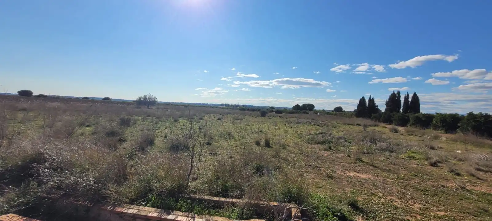Terrain rustique à vendre à Plaça Poligono N-43.R, imagen 3