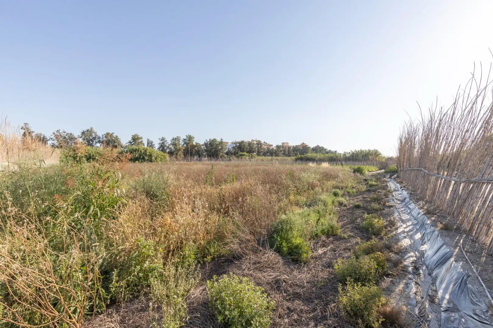Terreny residencial en venda a Calle Sus Pla 1, imagen 7