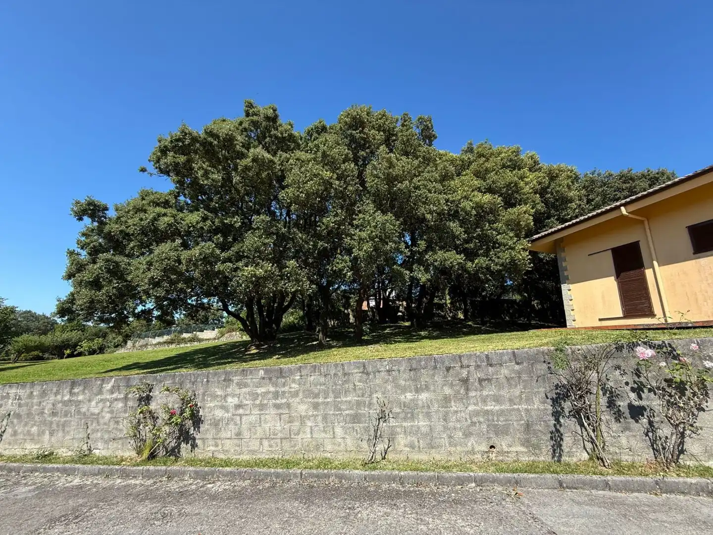 Xalet amb terrassa en venda a La maza, imagen 82