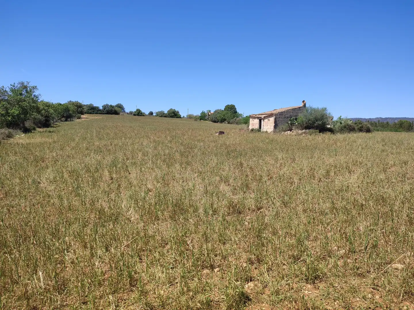 Rural land for sale in Vilafranca de Bonany, imagen 5