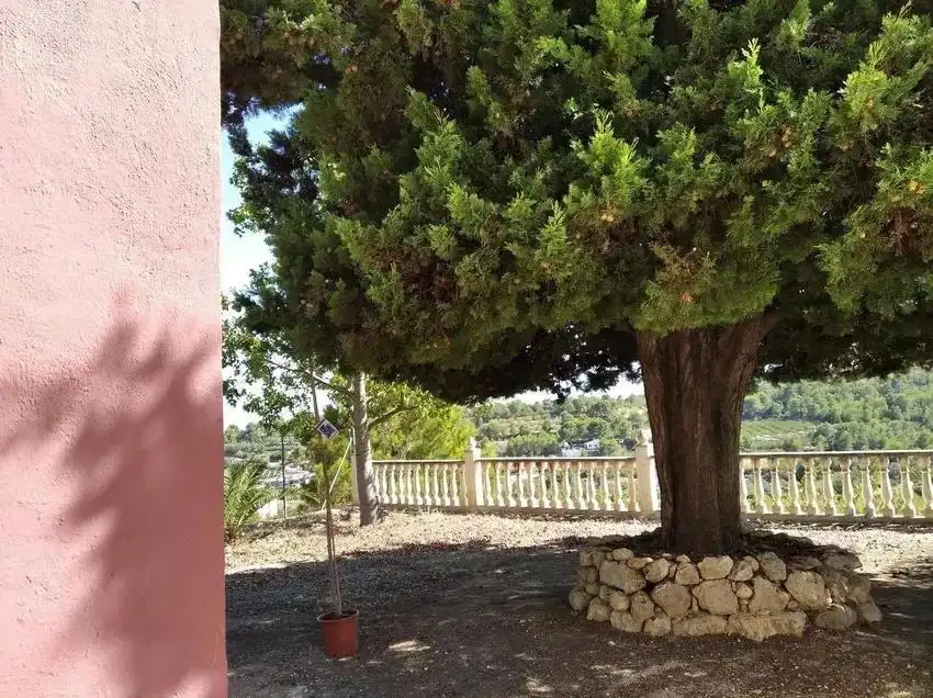 Jardín de Casa o chalet en venta en Godelleta con Jardín privado, Terraza y Trastero