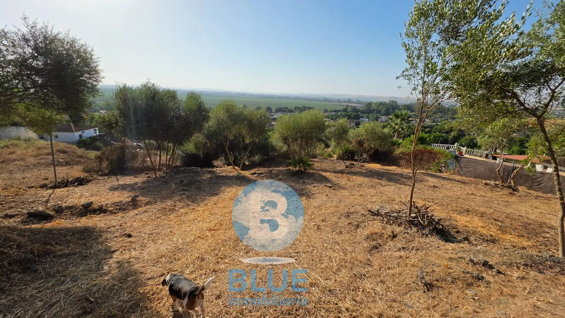 Residential land for sale in Almodóvar del Río, imagen 24