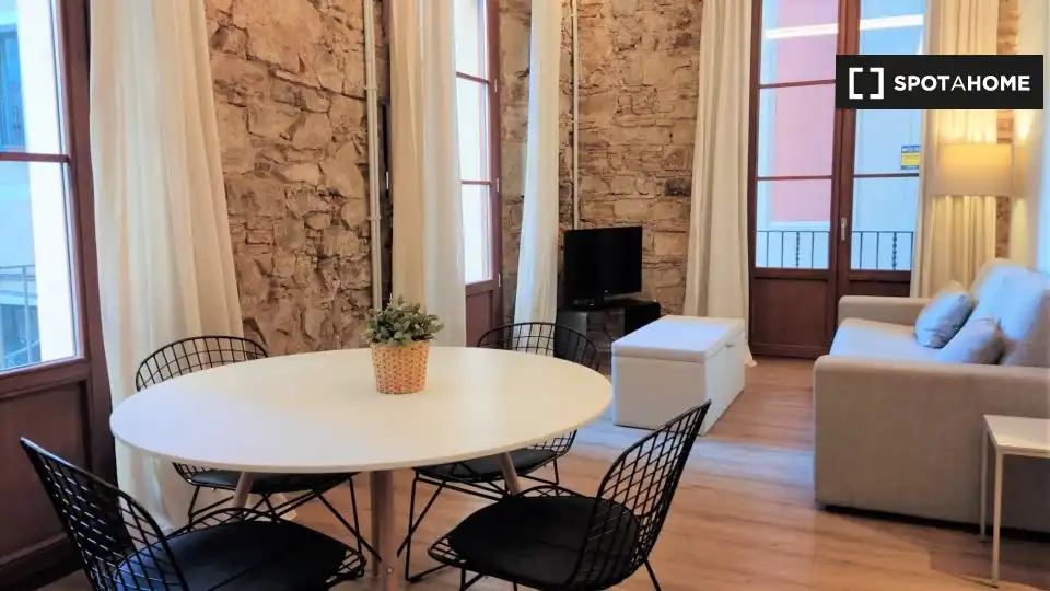 Appartamento con terrazza in affitto a Ciutat Vella, imagen 13