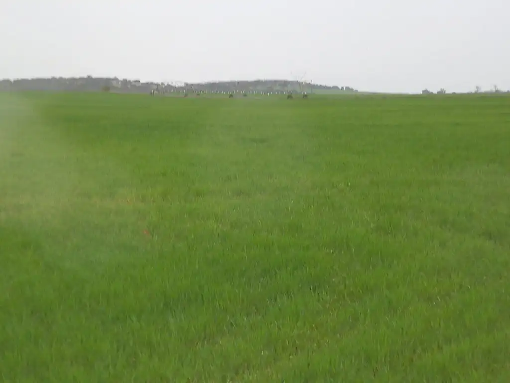 Terreno rustico in vendita a Centro - Plaza Mayor, imagen 10