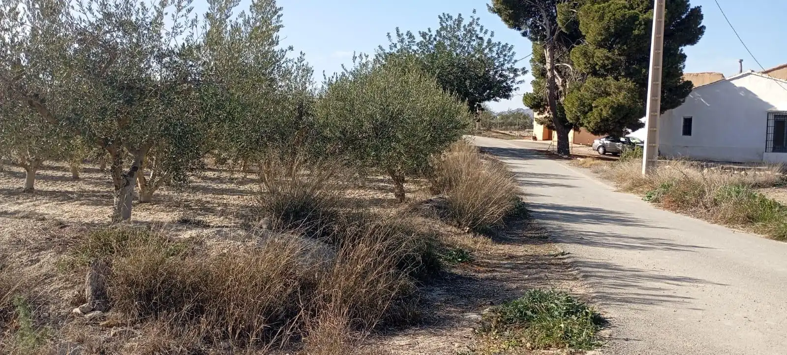 Maison avec jardin à vendre à Mojácar Pueblo, imagen 48