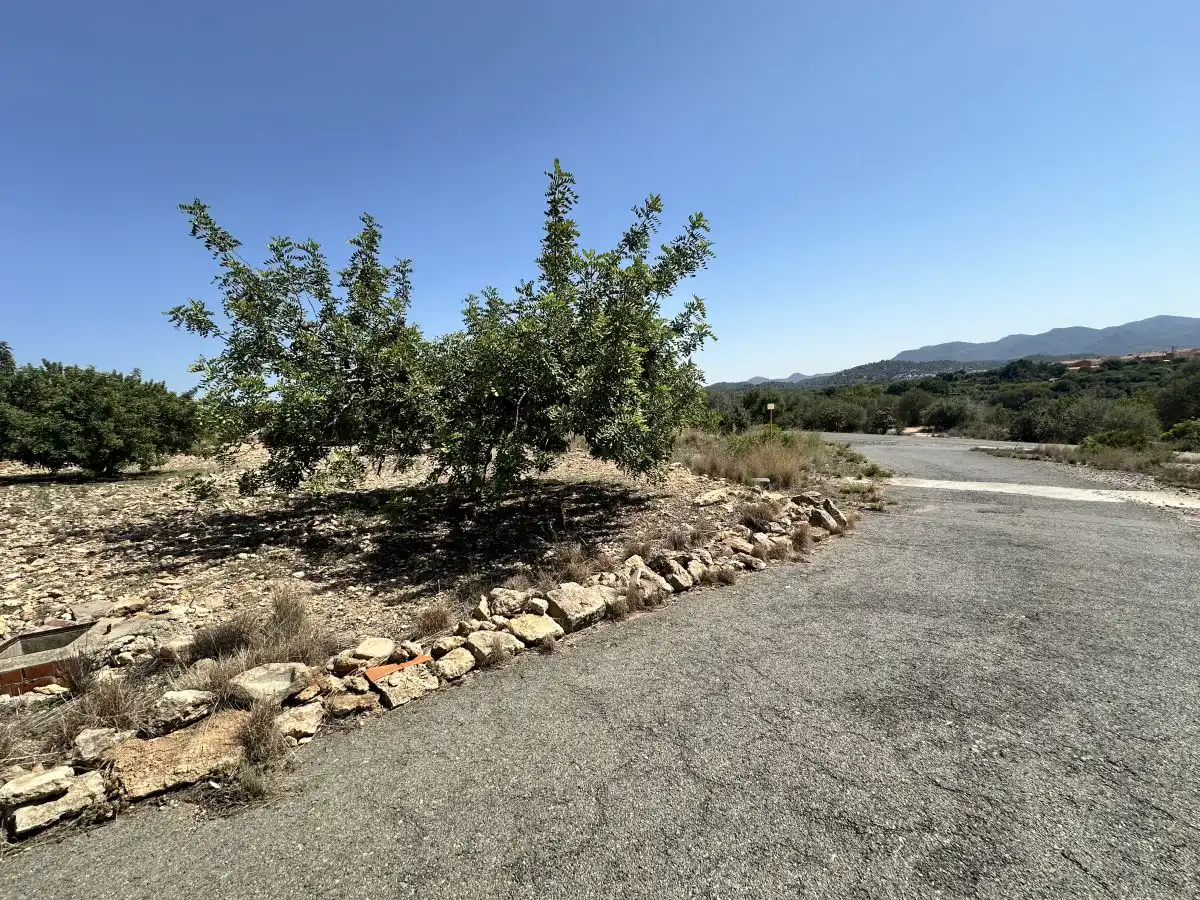 Terreno residencial en venta en Alfara de la Baronia, imagen 25