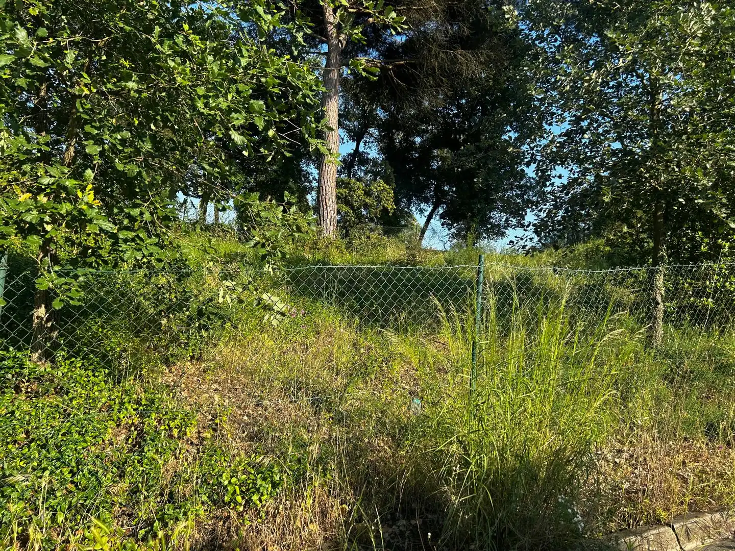 Residential land for sale in Residencial Park, imagen 7