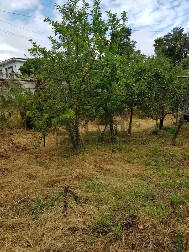 Terreni e lotti in vendita a CABEZA DE VACA, imagen 6