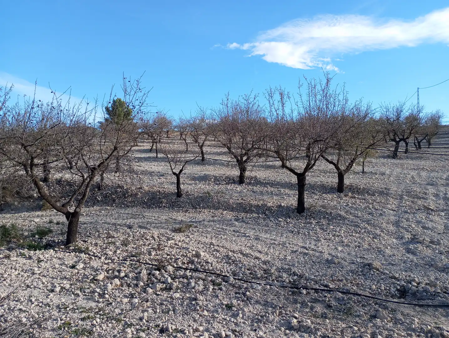 Casa o chalet en venta en Purchena con Amueblado